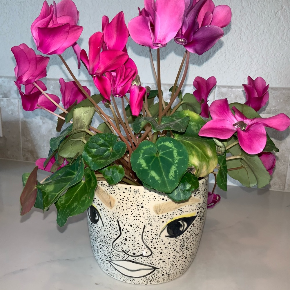 Handmade Studio Art Face Planter Home Decor Pottery Hand Painted Unique